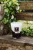 Świeca-The-Feathers-Baobab-Tuuli-Gdynia.jpg.webp