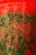 Świeca-Arty-Flower-Poppies-Baobab-Tuuli-Gdynia.jpg