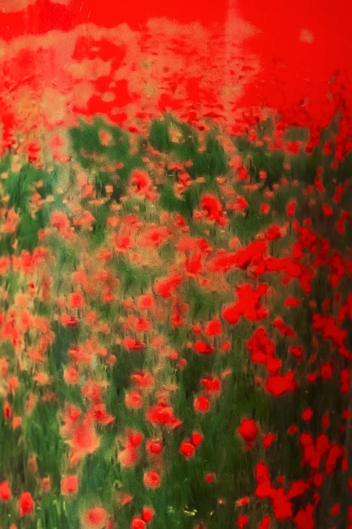 Świeca-Arty-Flower-Poppies-Baobab-Tuuli-Gdynia.jpg