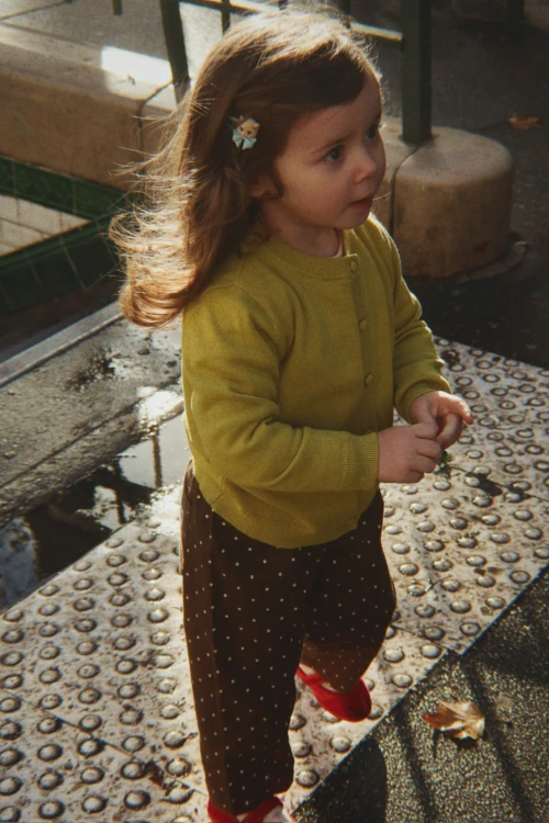 Spinki-do-włosów-z-pieskami-Puppy-Hair-Clips-Konges-Slojd.jpg