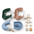Zjeżdżalnia-wodna-do-kąpieli-Yara-Liewood.png