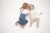 Legginsy-z-szelkami-Silly-Silas-Steal-Blue-Blend.jpg
