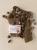 Rajstopy-z-szelkami-Silly-Silas-Acorn-Brown.png.webp