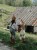 IMG_1512.jpeg