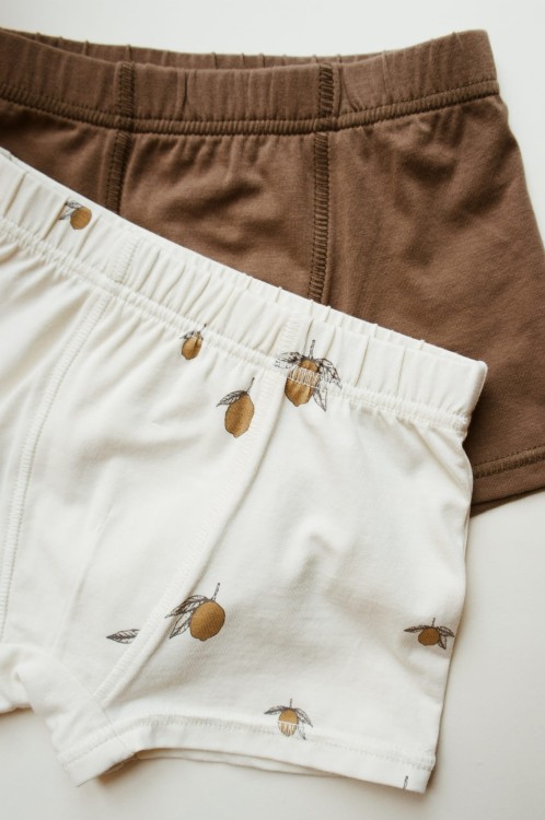 KS4633 - BASIC 2 PACK BOY BOXERS GOTS - LEMON-SHITAKE - Extra 1.jpg