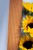 _MG_7644_LIGHT.jpg